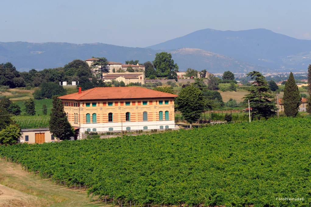 The Fattoria Betti winery